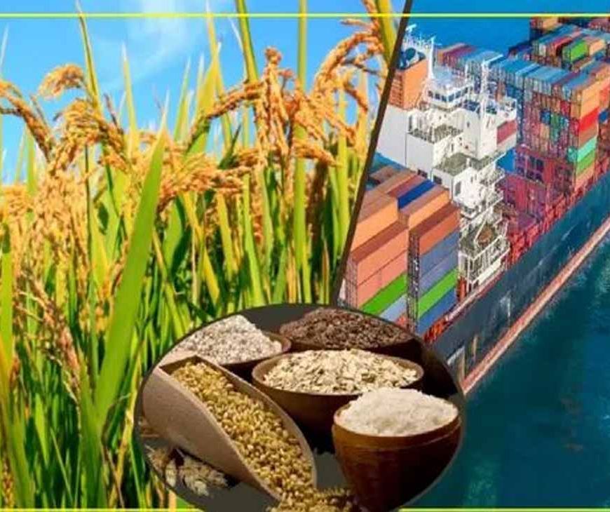 image_870x_6919c7139bbc7